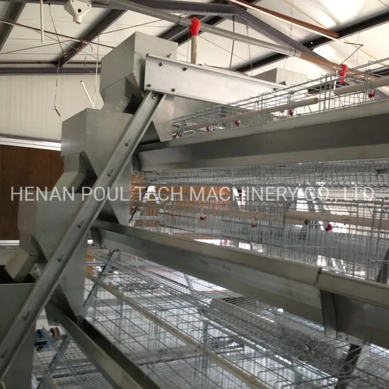 Modern Designed Poultry Scale Farm Automatic Battery Layer Chicken Cage