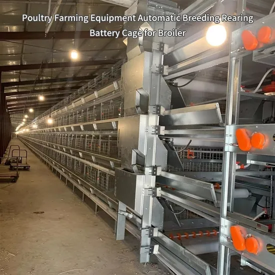 Chicken Farming Automatic Broiler Battery Chicken Cages Poultry Equipments