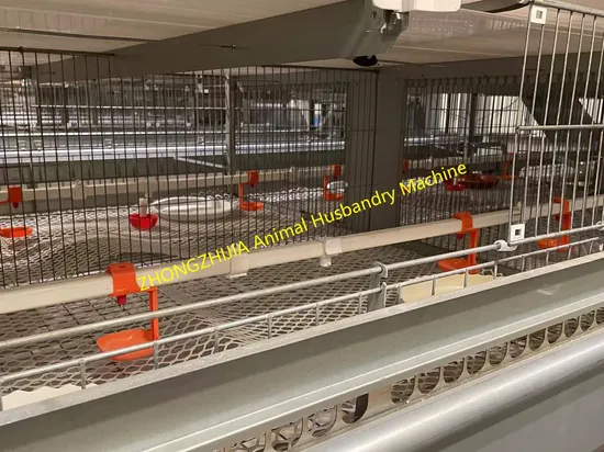 Hot Selling Poultry Cages for Layer Chickens Cages for Chickens Chicken Cages Egg Layer