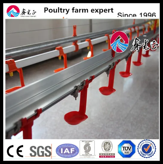 Closed Poultry House System/ Automatic Chicken Broiler Farm Equipment