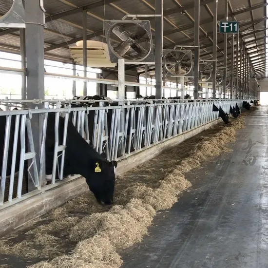 Selling Hot-DIP Galvanized Cow Headlocks for Lactating Cows