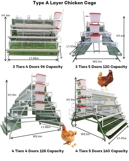 Speq-Poultry High Quality a Type Layer Cage System for Poultry Farm Equipment