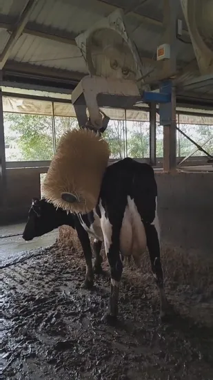 Automatic Cattle Farm Equipment Cleaning and Massage Livestock Brush Electric Cow Brush