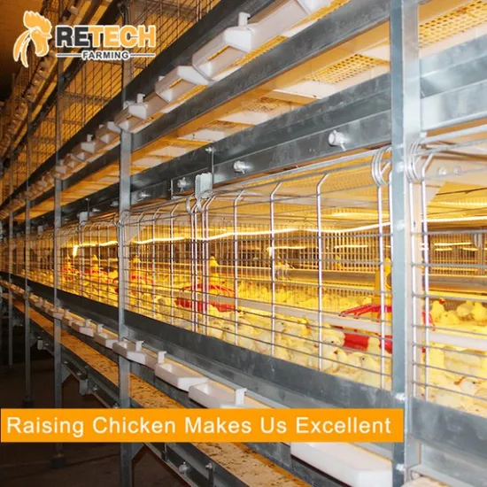 Automatic H Type Broiler Battery Cages for Poultry House