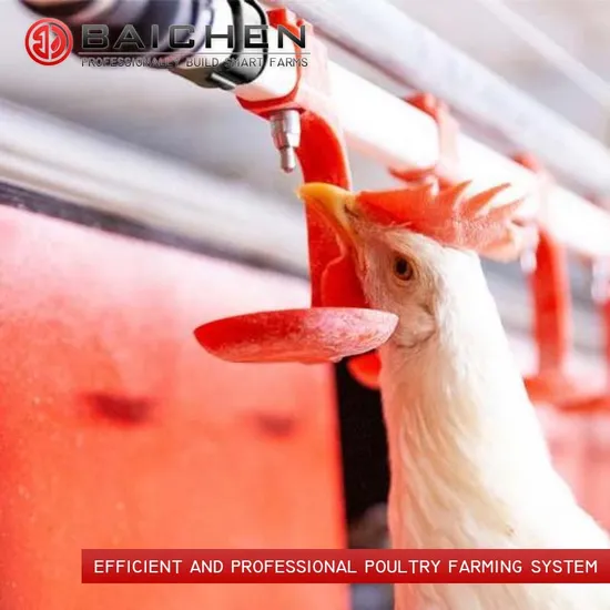 stainless Nipple Drinker for Chicken Drinking