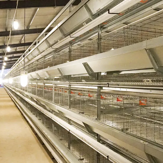 Low Cost Chicken Layer Poultry Shed Farm Equipment Design
