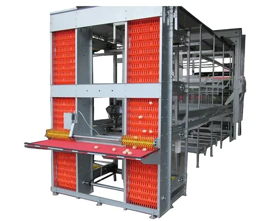 Animal & Poultry Husbandry Equipment H-Type Battery Cage Chicken Coop Chicken Cages of Layer