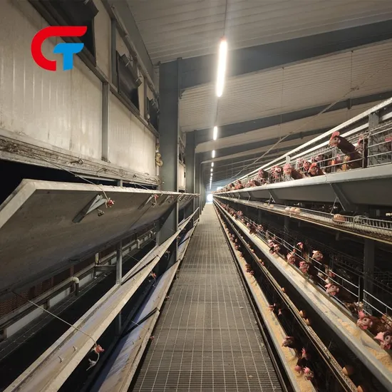 Factory Made Good Quality Farming Equipment Battery Laying Hens Chicken Poultry Cage