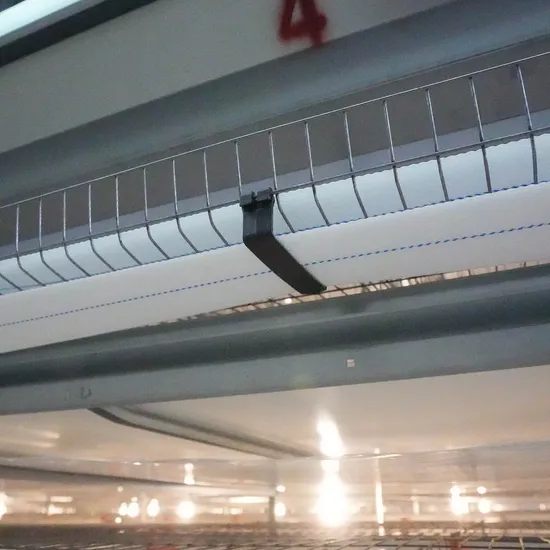 ISO Certified Automatic Poultry Farm Equipment with Cascading Chicken Coop and Duck Coop