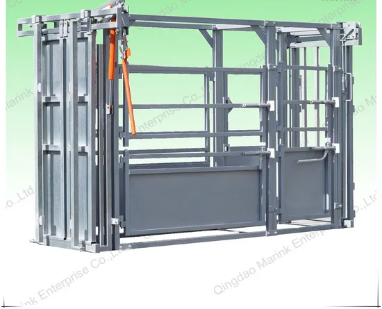 Squeeze Chute for Cattle & Cow (Galvanized)