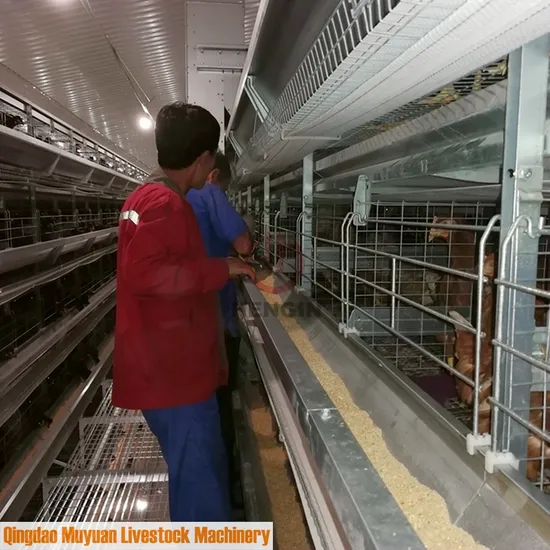 Automatic Egg Layer Farm Laying Hen Equipment of Chicken Cage