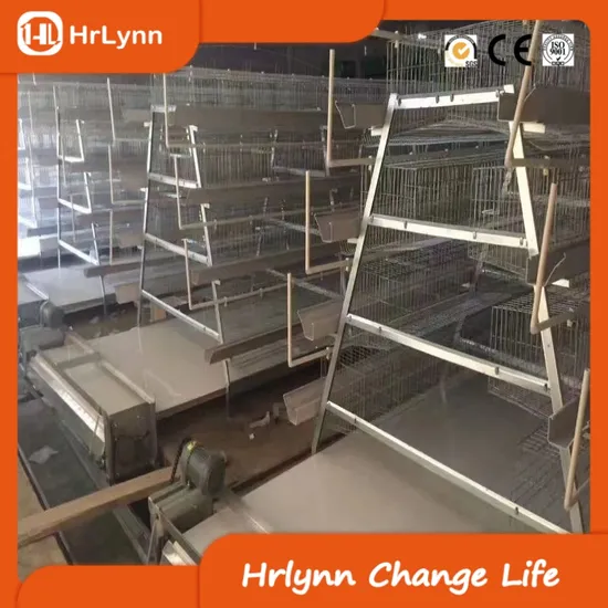 African Chicken Farm Ladder Layer Cage with Egg Collection Fecal Cleaning