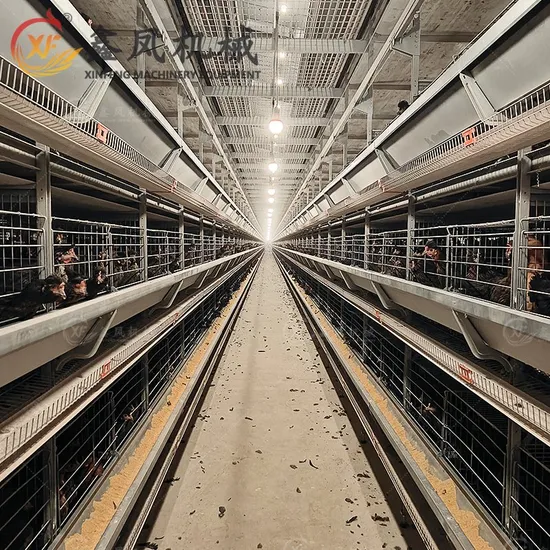 Modern Automatic Chicken Farming Equipment H Type Poultry Layer Cage for Nigeria