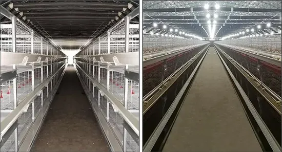 Design Egg Layer Battery Chicken Cage System Chicken Cages for Poultry Farm House