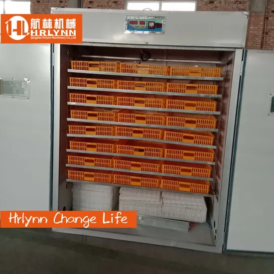 Direct Delivery to Africa Sales Solar Energy Poultry Industrial Egg Incubator