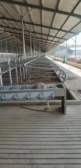 Anti-Corrosion Cow Divider Heavy Duty Cattle Stall