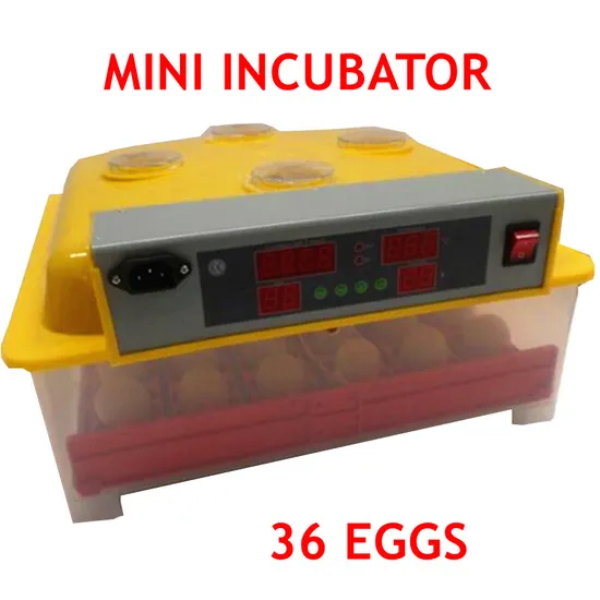 Mini Automatic Chicken Egg Incubator Hatching Machine (KP-36)