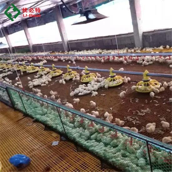 Modern Design Prefab Poultry House Automatic Broiler Farm Chicken Feeding Equipment
