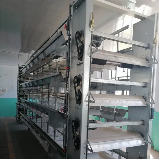 Poultry Chicken Manure Multi-Layer Automatic Cleaning Egg Layer Chicken Cage for Farm Breeding
