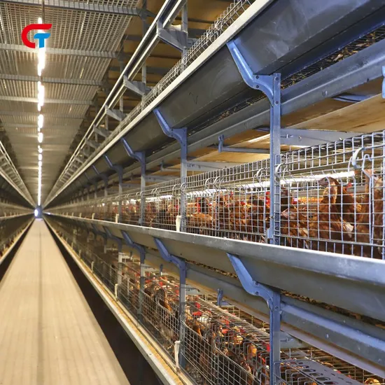 Modern High Technology Automatic Farming H Type Chicken Poultry Battery Cage