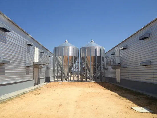 Low Cost Chicken House and The Equipment /Quick Install/ Good Design