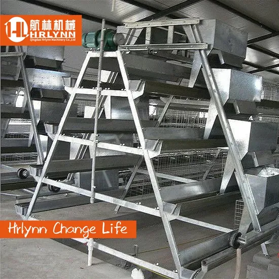 Africa Cheap Sale Automatic Poultry Cage Chicken Cage Layer Chicken Cage