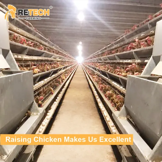 Poultry Farming Equipment 4 Tier A Type Fully Automatic Battery Layer Chicken Cage for Egg Hens