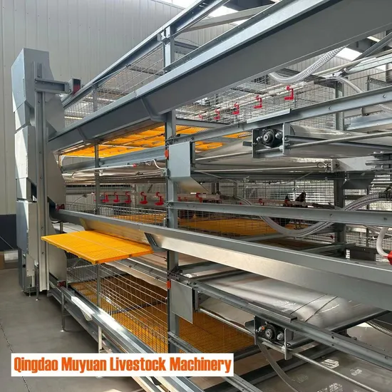 H-Type Artificial Net Broiler Cage, Poultry Breeding, Animal Husbandry Equipment