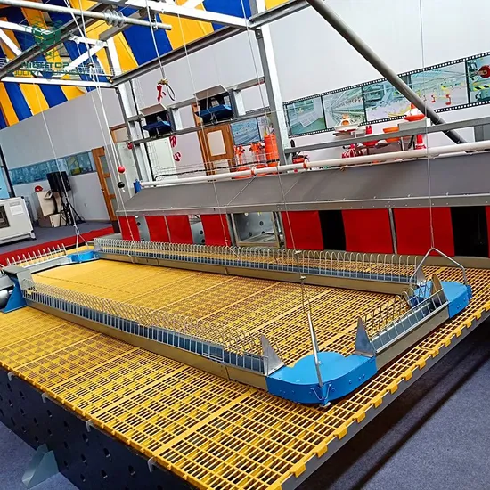 Hightop Brand Multiple Feed Troughs Automatic Chain Feeding System For Broiler Chickens