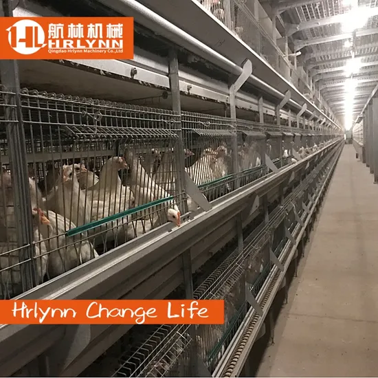 Poultry Cage Equipment for Layer Chicken /Chicken Layers Battery Cage