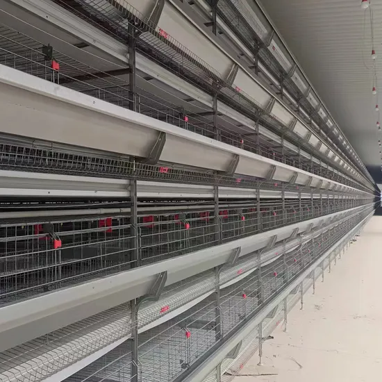 OEM H Type 4 Layers 6 Layers 8 Layers Automatic Poultry Equipment Farm Equipment Layer Egg Cage