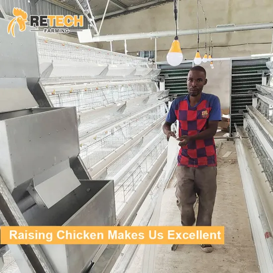 High Quality Chicken Cage/Farm/House/Chicken Poultry Building Egg Incubator/Machine /Equipment