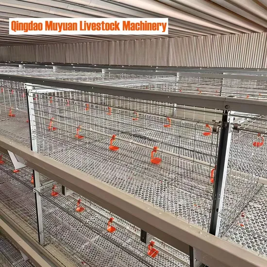 Chicken Cages/Poultry Equipment/Broiler Feeding Lines/Poultry Houses