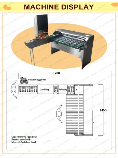 Hot Sale 5400 PCS 304 Stainless Steel Egg Grader / Egg Sorter / Egg Grading Machine