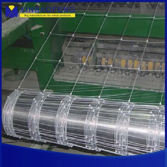 Cow Fence Hot-Dipped Galvanized Cow Fence for Sale