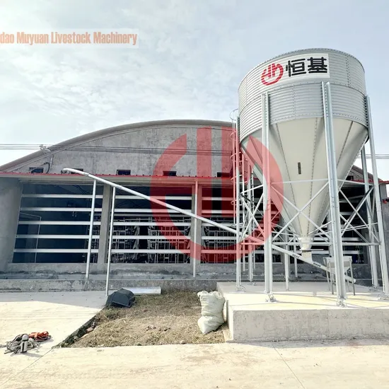 Ventilation Duct Type Broiler Cage Is The Most Popular in China