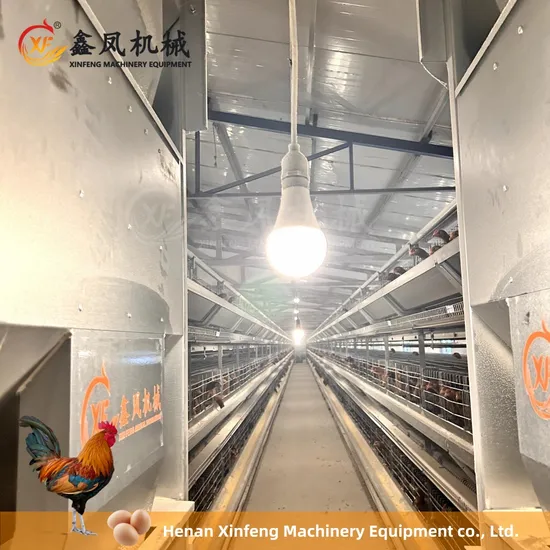 Hot Sale 128 160 Birds Capacity Cheap Hot DIP Galvanized Poultry Farming H Type 4 Tiers