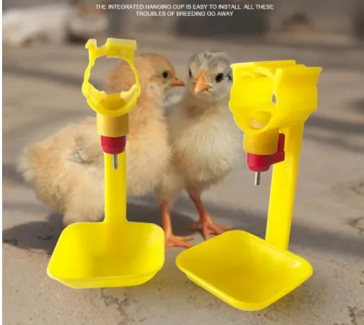 Top-Selling Chicken Nipple Drinker with Cup for Optimal Hydration