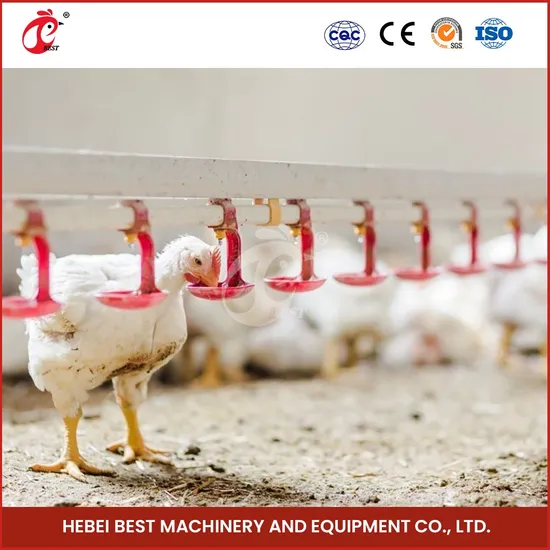 Bestchickencage Broiler Deep Litter System Wholesale China Wire Mesh Material Broiler Feeding Deep Litter System Manufacturers