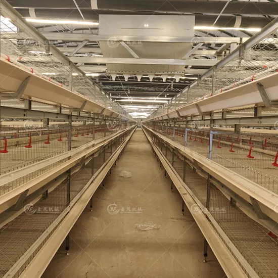 Galvanized Automatic 4 Tiers Battery Meat Chicken Feeding Cage for Poultry Farm/ Farming Meat Broiler Raising Equipment