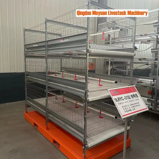 Automatic H-Type Egg Duck Cage / Broiler Duck / Poultry Breeding / Chicken Cage