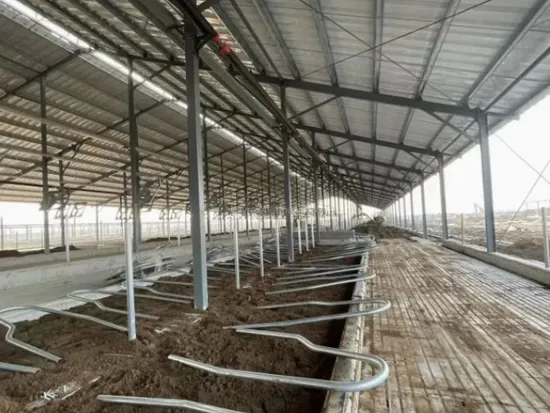 Ergonomic Cow Comfort Stall Dairy Cow Cubicle