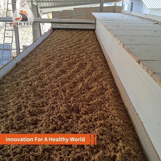 2024 Chicken Manure Dung Dryer Equipment for Layer Poultry Farm
