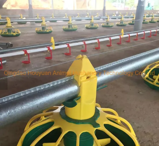 Design Solution of High-Quality Floor Type Chicken House for Broilers/Chicks