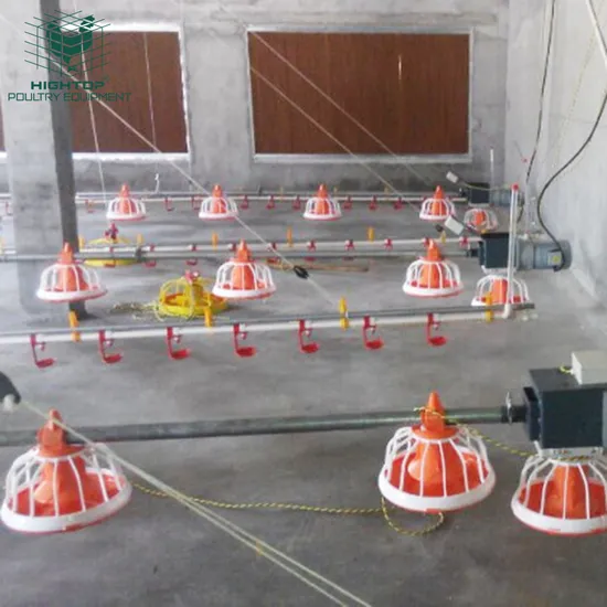 Automatic Equipment Chicken Poultry Farm Tunnel Vent House Broiler Pan Feeding System