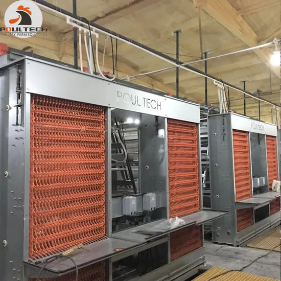 2022 The Modernest Poultry Farm Equipment and Battery Chicken Cage