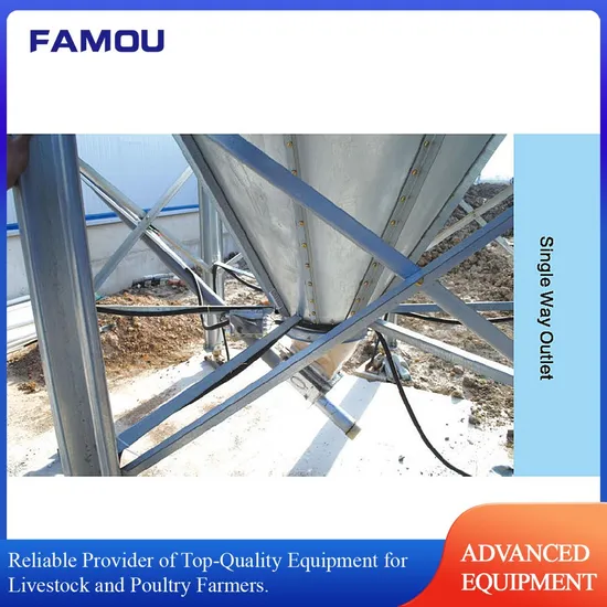 Innovative Pig Farming Equipment with 2750mm Silo as Feed Bin for Feed Conveying