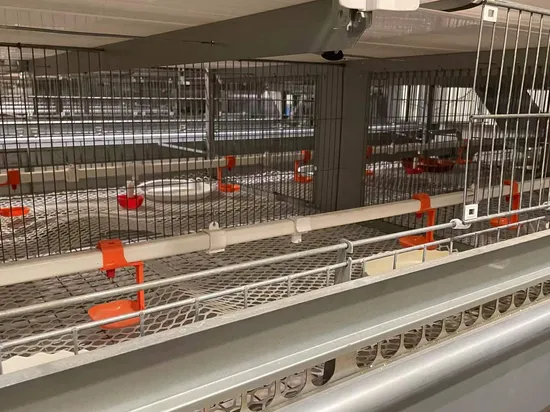Steel Structure Chicken Poultry Farm with H Type Layer Cages