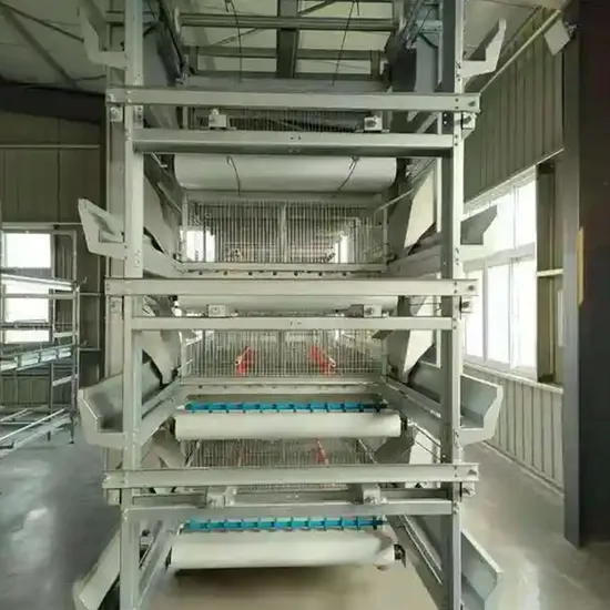 Customized Livestock and Poultry Breeding Equipment Galvanized Chicken Cage H Stainless Steel Layer Cage