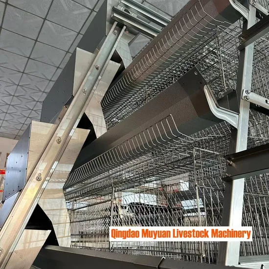 Stepped Layer Cage / a-Cage / Poultry Breeding Brooding Equipment